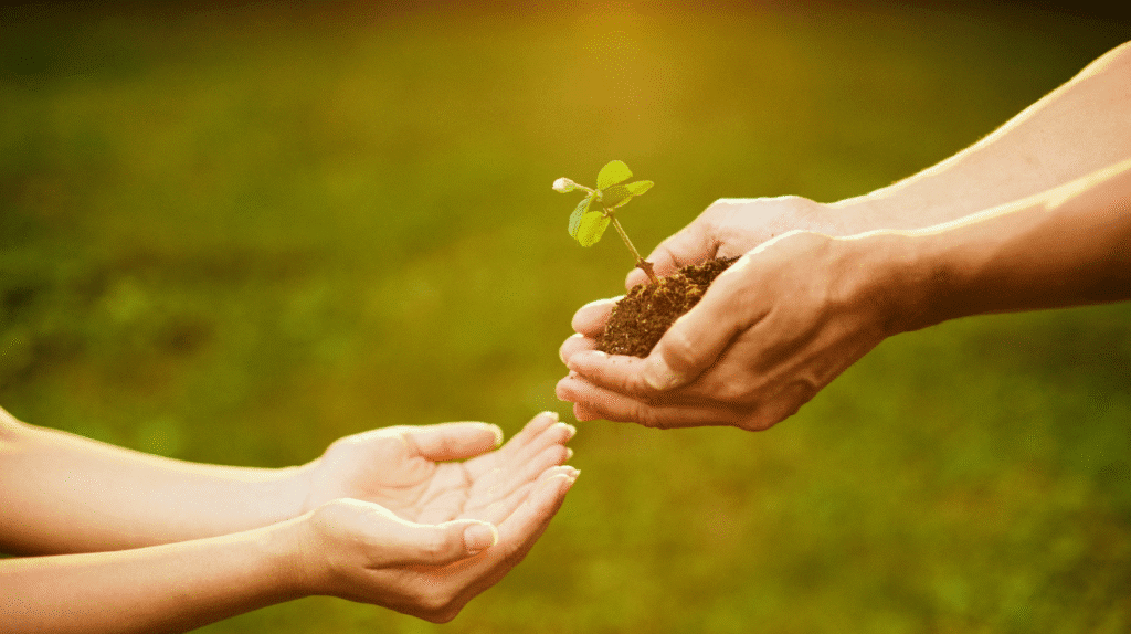 How to Start a Sustainable Garden in Small Spaces 8 Sustainable Garden