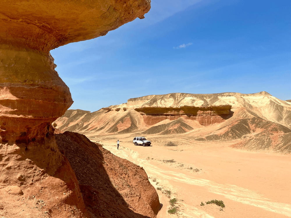 Eco-Friendly Sustainable Safari Adventures: Top Safari Destinations for 2025 6 4d410511 6a11 48bd 903a 6559ca3186f7